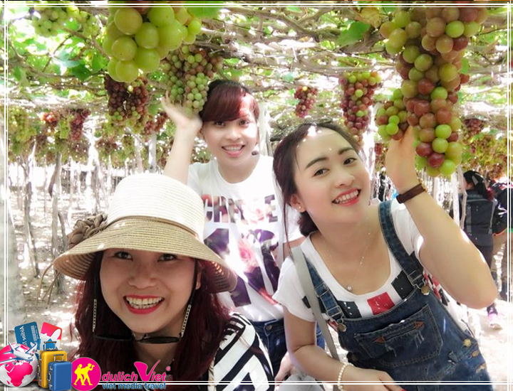 Du hí tại Bình Ba - Ninh Chữ