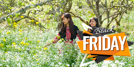 Tour Miền Bắc - Mai Châu - Mộc Châu - Tràng An - Bái Đính khởi hành từ Sài Gòn