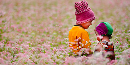 Du lịch Miền Bắc - Đông Bắc 5 ngày mùa hoa Tam Giác Mạch giá tiết kiệm (T10/2025)