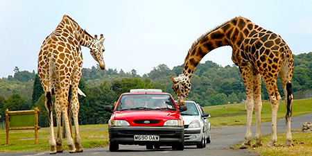 Du lịch Miền Trung - Quy Nhơn - Phú Yên 4 ngày giá tốt khởi hành từ Sài Gòn