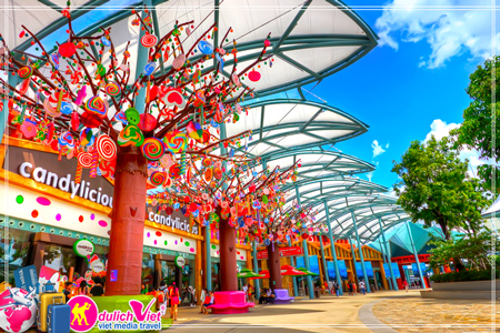 Du lịch Singapore ngắm hoa tuylip giá tốt dịp hè 2016 từ Tp.HCM
