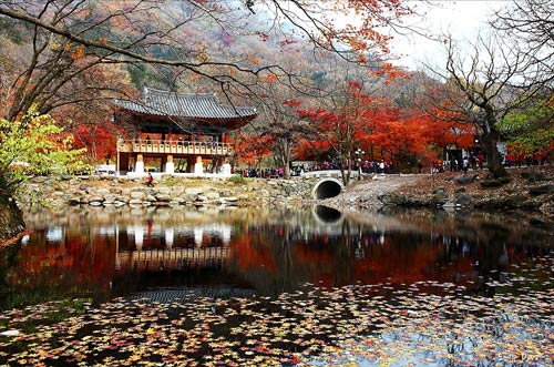 Lãng mạn mùa thu Hàn Quốc