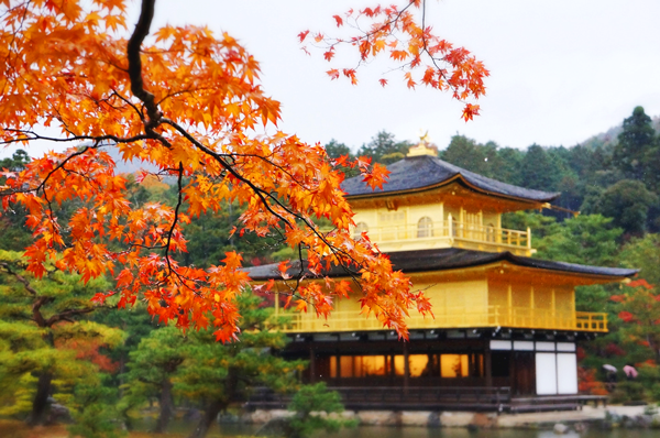 Kyoto - Thiên đường mùa thu Nhật Bản