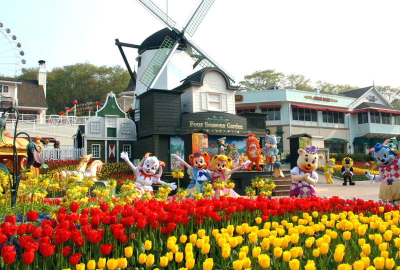 Thưởng ngoạn sắc hoa Anh đào, hoa Tulip ngay tại Hàn Quốc