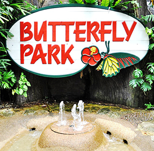 Vé tham quan Singapore Buttertly Park & Insect Kingdom giá tốt 2017