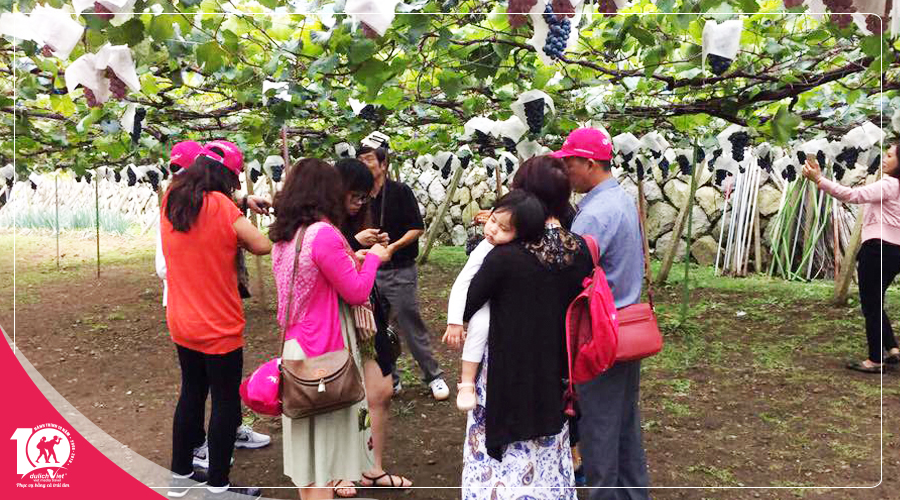 Tour du lịch Nhật Bản 5 ngày mùa Thu trải nghiệm hái trái cây từ Sài Gòn giá tốt 2018
