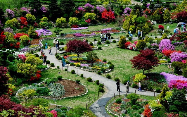 Khám phá vườn hoa Morning Calm – Khu vườn đẹp nhất khi du lịch Hàn Quốc