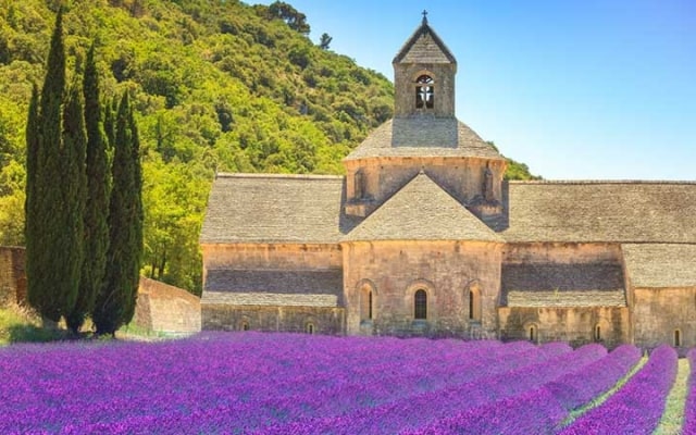 Đắm mình trước vẻ đẹp thơ mộng đầy lãng mạn của vùng Provence nước Pháp