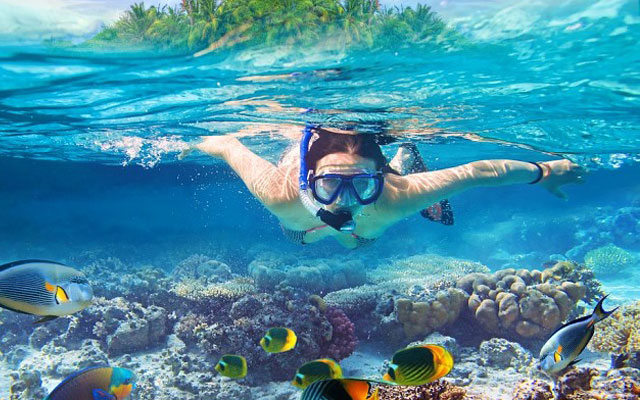 Lặn biển và snorkeling tại Krabi