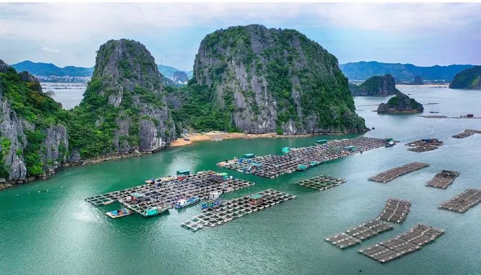 thuong-cang-dau-tien-viet-nam