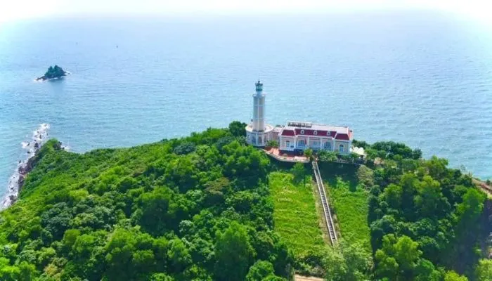 dao-vinh-thuc