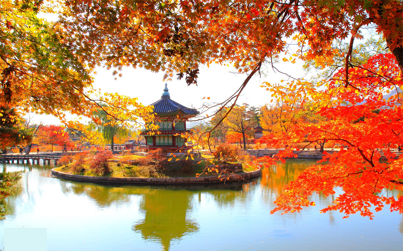 Vẻ đẹp mùa thu ở Seoul Hàn Quốc
