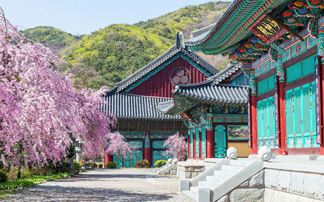 Nên đi du lịch Cố Cung Gyeongbok ở Hàn Quốc khi nào?
