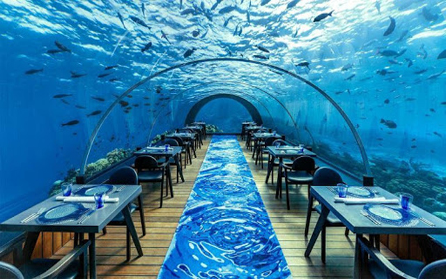 Nhà hàng dưới biển đầu tiên trên thế giới ở nước nào?