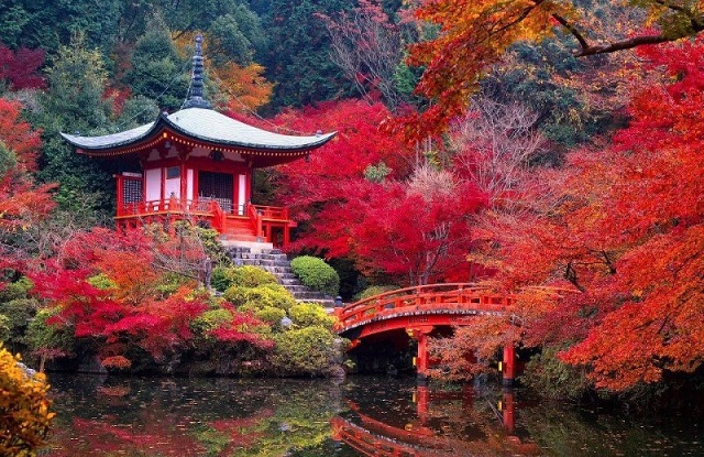 Nhật Bản luôn là quốc gia du lịch hấp dẫn du khách trên thế giới