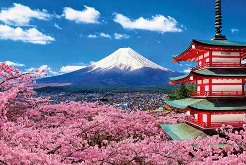 Bỏ túi kinh nghiệm du lịch Nhật Bản từ A-Z: vi vu xứ xở hoa anh đào