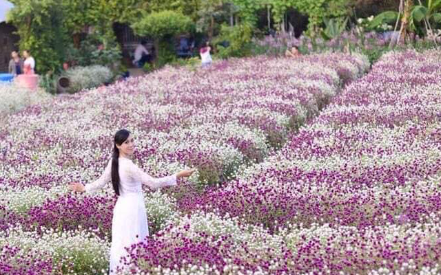 Phong cảnh đẹp ngỡ ngàn tại vườn hoa Mãn Đình Hồng