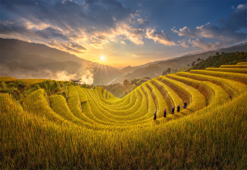Những địa điểm du lịch Yên Bái đẹp nhất để ngắm ruộng bậc thang Ruong-bac-thang-mu-cang-chai-yen-bai(1)