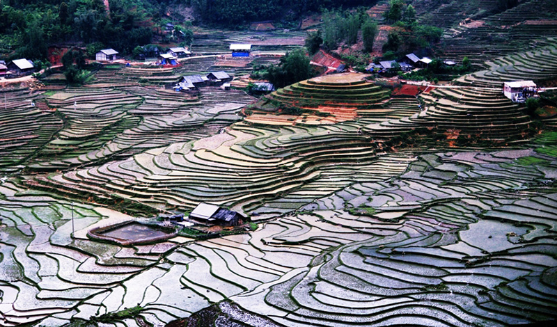 Hình ảnh tuyệt đẹp ruộng bậc thang Yên Bái mùa cấy lúa Ruong-bac-thang-mua-nuoc-do