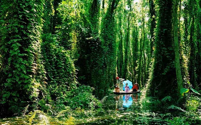Khám phá vẻ đẹp di sản Vườn Quốc Gia U Minh Thượng - Kiên Giang