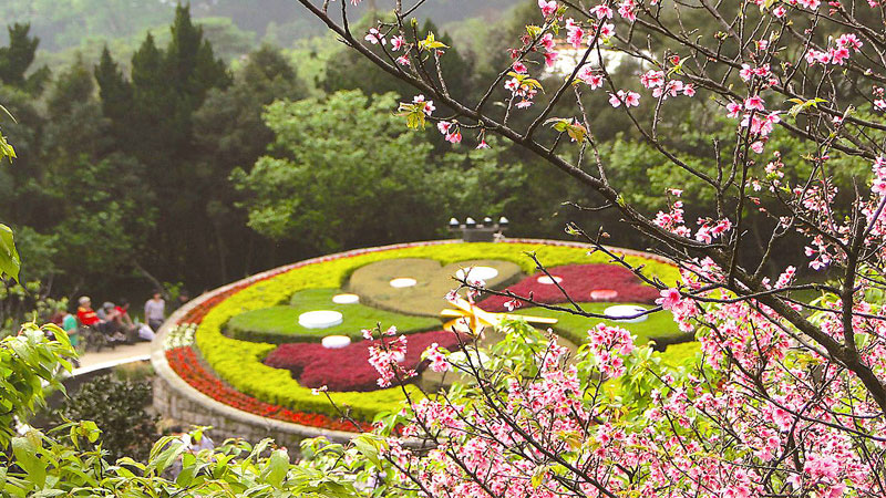 Thưởng thức không khí trong lành tại vườn quốc gia Yangmingshan