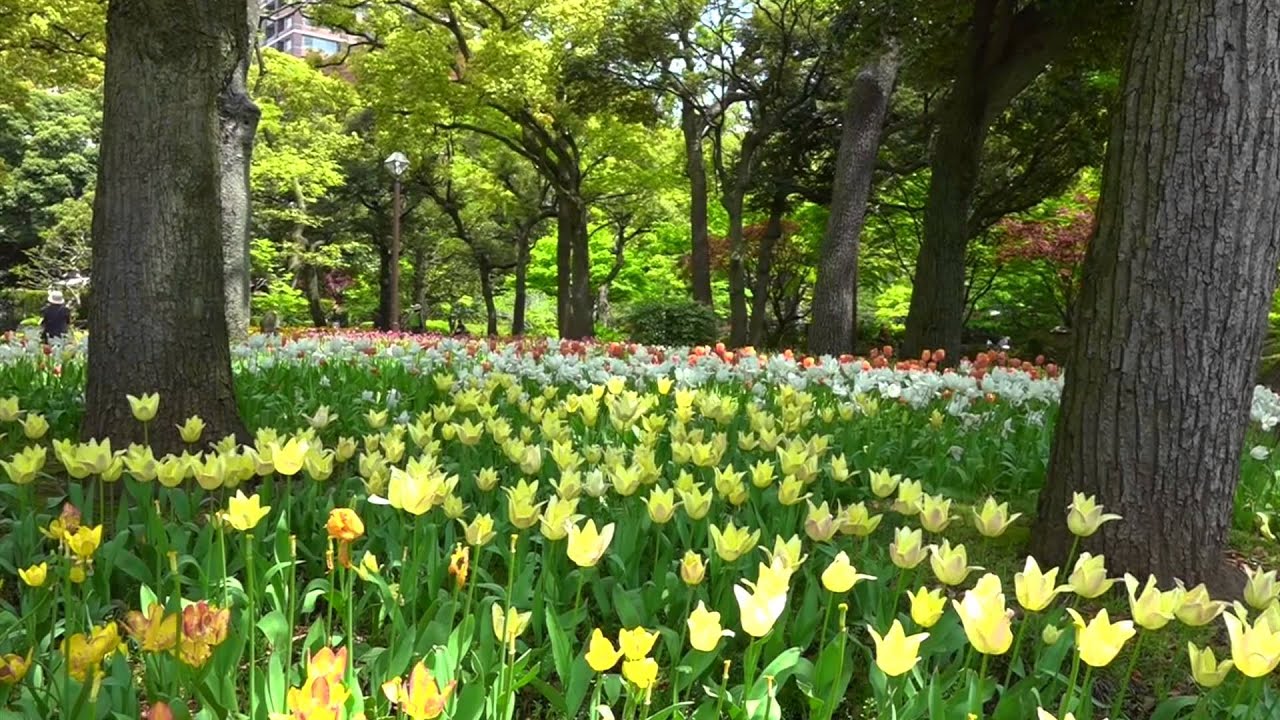 Công viên Yokohama