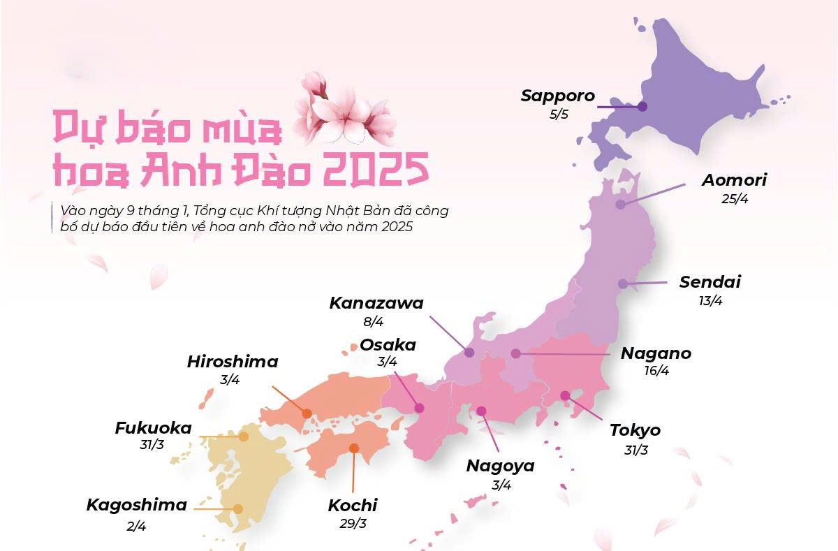 lịch dự báo hoa anh đào nở 2025