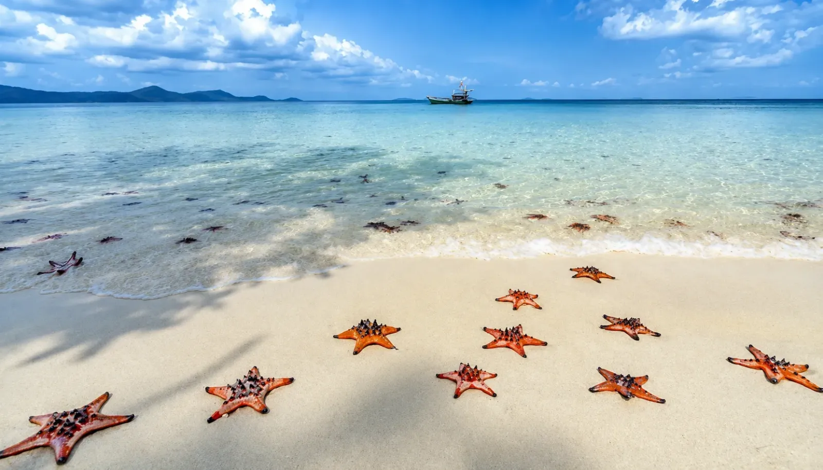 ngam-sao-bien-phu-quoc