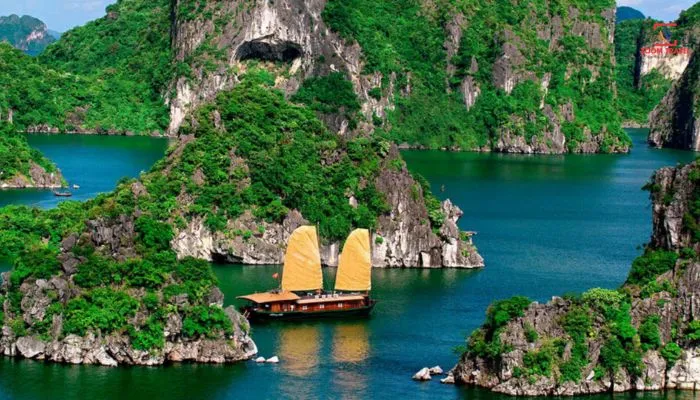 tang-tour-vinh-ha-long-mong-cai-tra-co
