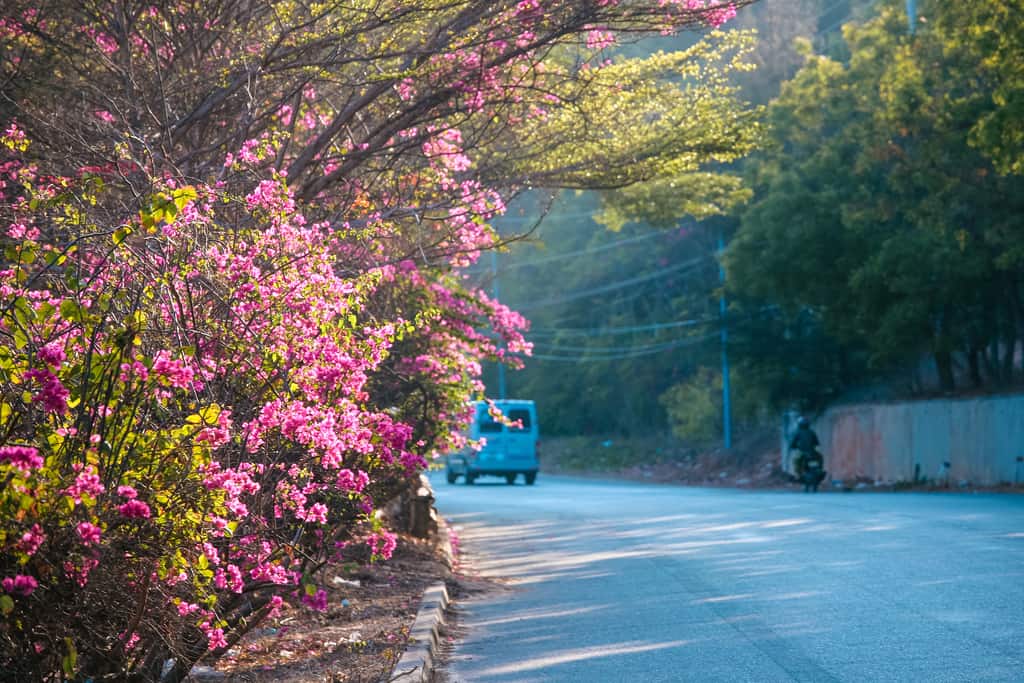 Du lịch Bình Thuận chắc chắn sẽ mang lại nhiều trải nghiệm thú vị cho bạn. tour binh thuan. 