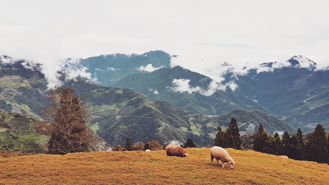 Tour Đài Loan - Thiên nhiên kỳ vĩ và thơ mộng tại Cingjing Farm