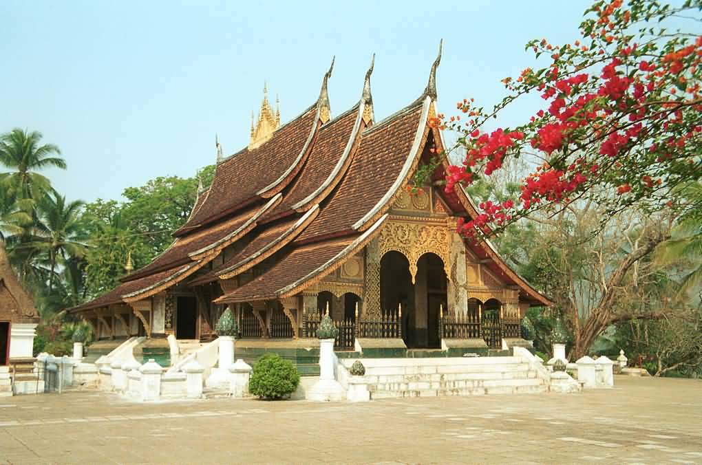 Wat Xieng Thong gây ấn tượng với phần mái cong xuống phía dưới nhìn khá lạ mắt. tour du lịch Lào.