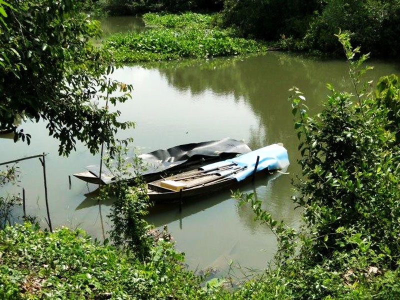 Tour du lịch miền Nam - Vườn Quốc gia Lò Gò - Xa Mát