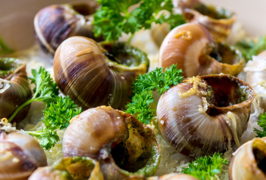 Escargot là một món ăn độc đáo mà bạn không nên bỏ lỡ khi đi tour du lịch Pháp.