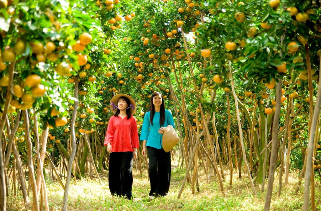 Miệt vườn Cái Bè cũng là một điểm tham quan tour du lịch Tiền Giang hấp dẫn không kém. du lich tien giang.