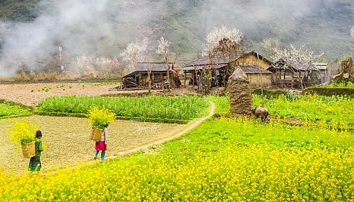 ha-giang