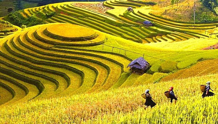 mai-chau