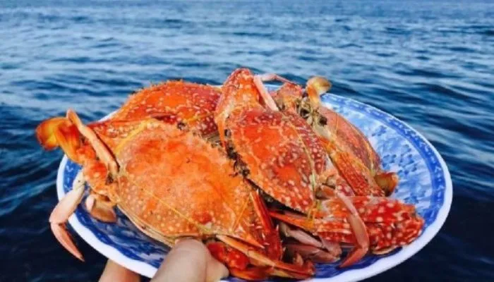 ghe-ham-ninh