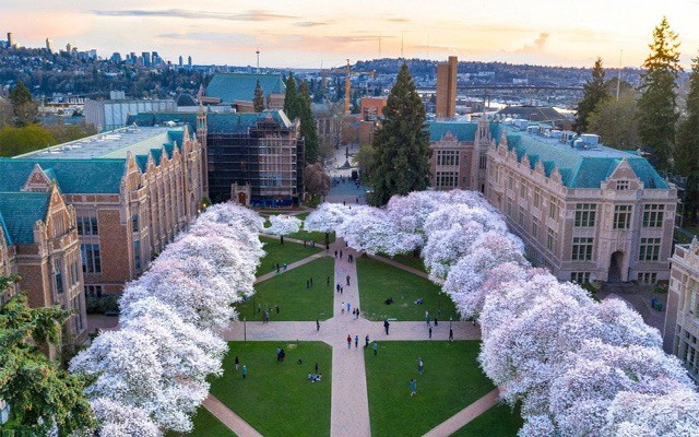 Trường đại học Washington, Seattle
