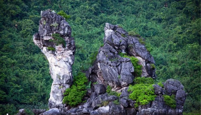 vuon-quoc-gia-bai-tu-long