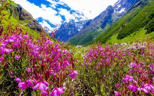 Vẻ đẹp thơ mộng của vườn quốc gia Thụy Sĩ