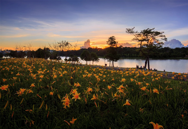 Vườn hoa thành phố nằm ở gần Hồ Xuân Hương 