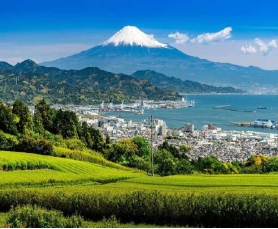 Du lịch Nhật Bản Hè - Tokyo - Fuji Mountain - Nagoya - Kyoto - Osaka từ Hà Nội 2024