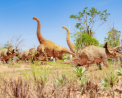 NovaDreams Công Viên Khủng Long Dino Park