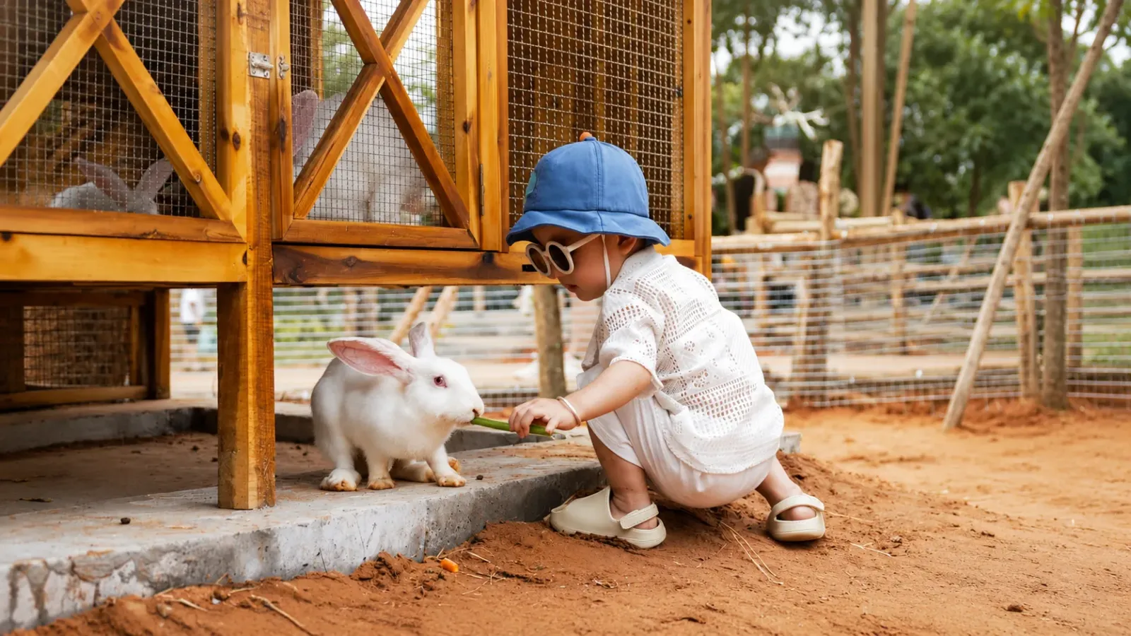 Trẻ em tương tác và cho thỏ ăn tại khu Petting Zoo của Safari Cafe Phan Thiết