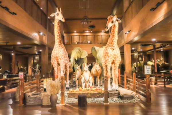 NovaDreams Đồi Kỳ Quan Wonder Hill